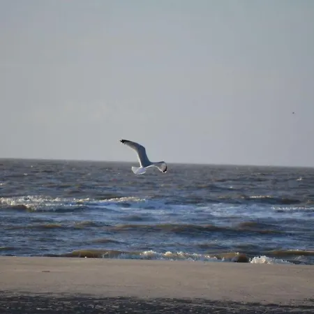 3 Boehler Butendiek Comfortable * Sankt Peter-Ording